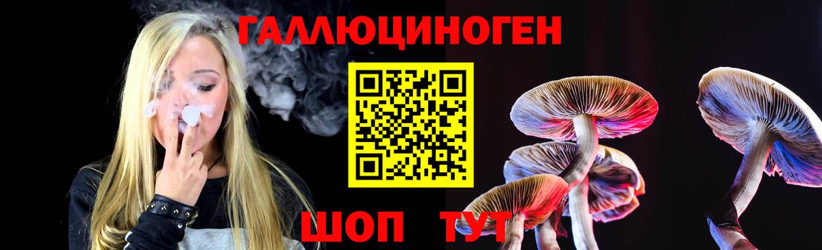 Галлюциногенные грибы Psilocybe  Галлюциногенные грибы прущие грибы  где купить наркоту  Когалым  Вход с VPN 